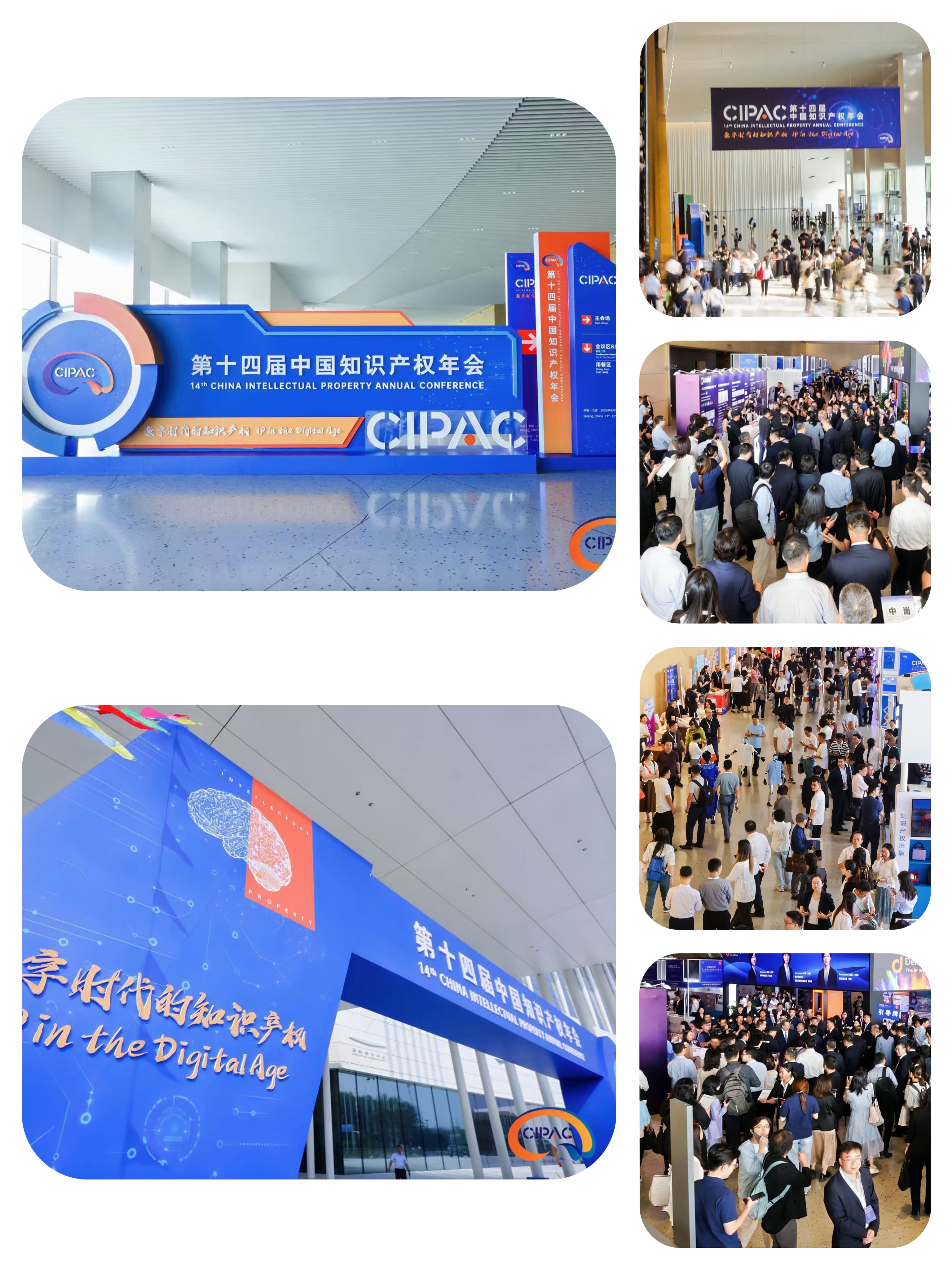 1758075525348197.jpg 1758075525348197.jpg